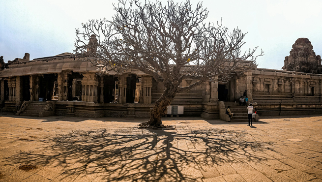 Indian eVisa for Senegal Citizens in 2026