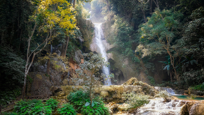 Laos Visa Rejection Reasons For Indians