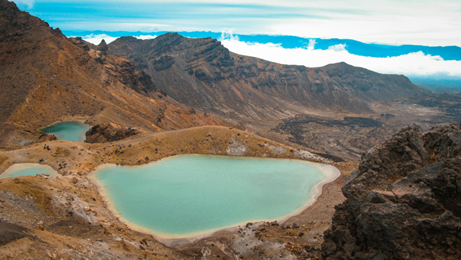 New Zealand Visa Photo Requirements For Indians