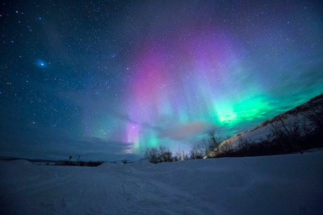 Norway in January: Weather, Northern Lights, Things To Do & More