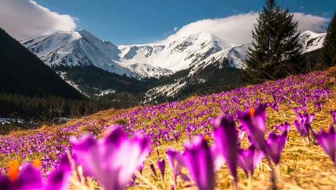 Poland Visa Extension For Indians