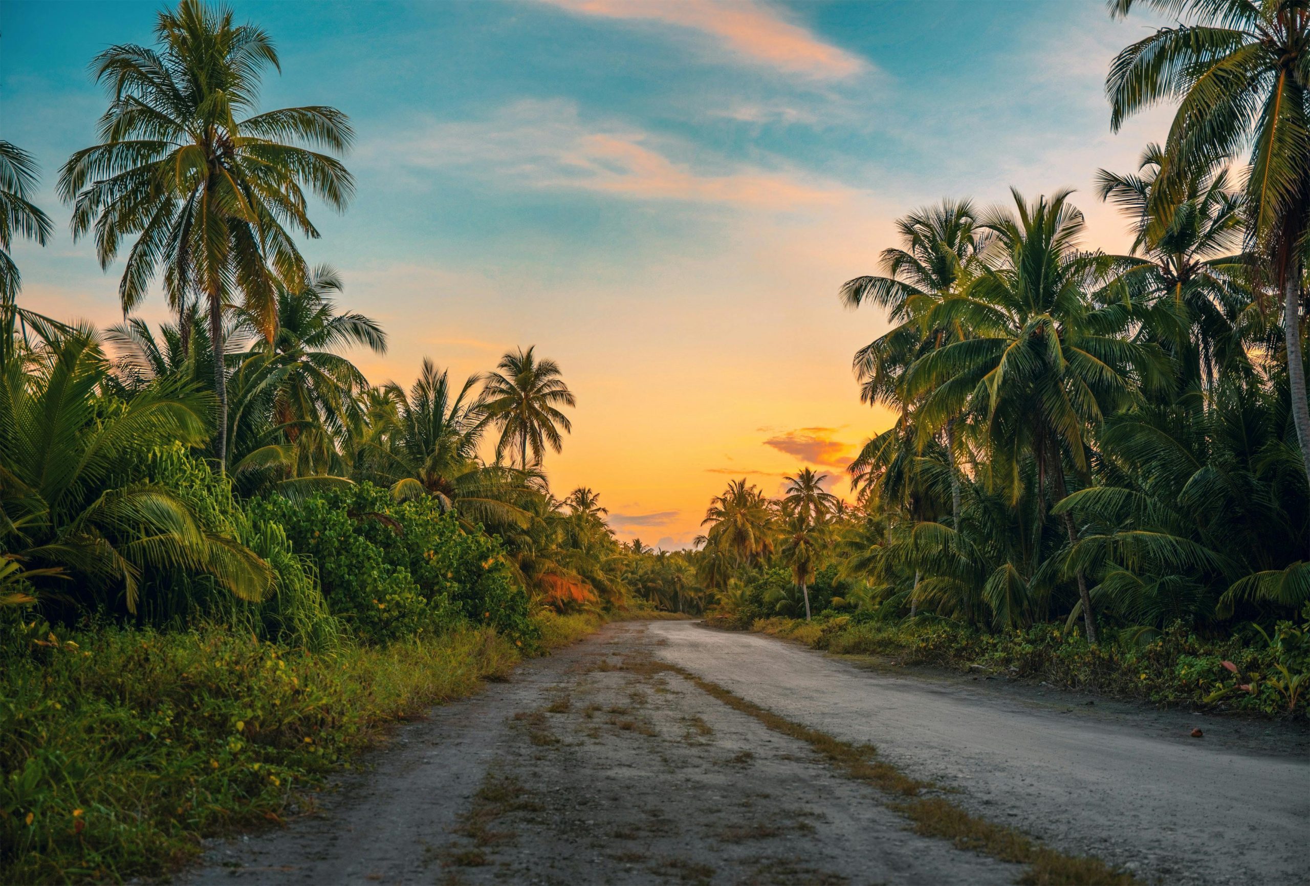 Road to Hulhumale surrounded by trees