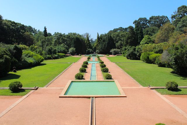 Serralves Museum