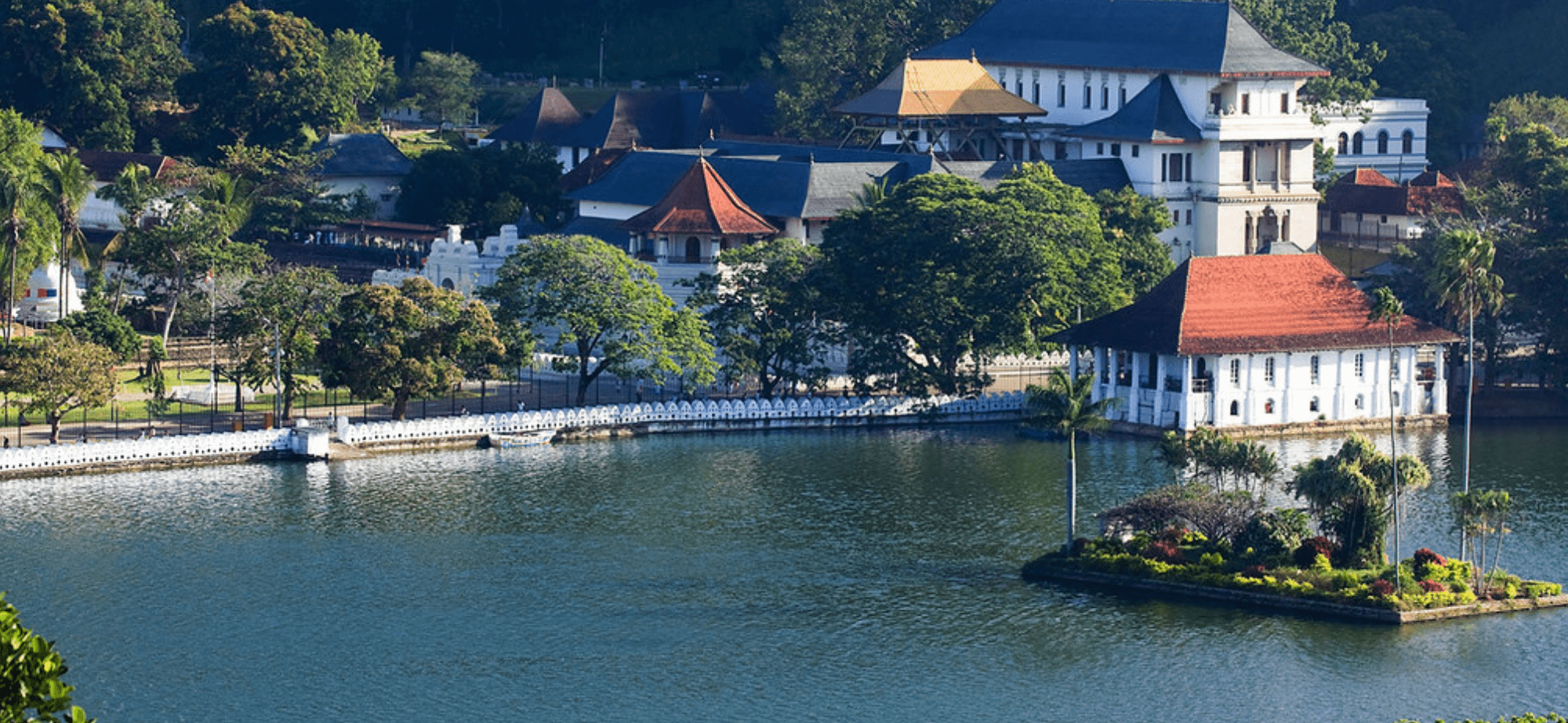 Solo Travel in Sri Lanka The Complete Guide for Beginners