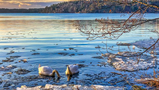 Sweden Visa Rejection Reasons For Indians