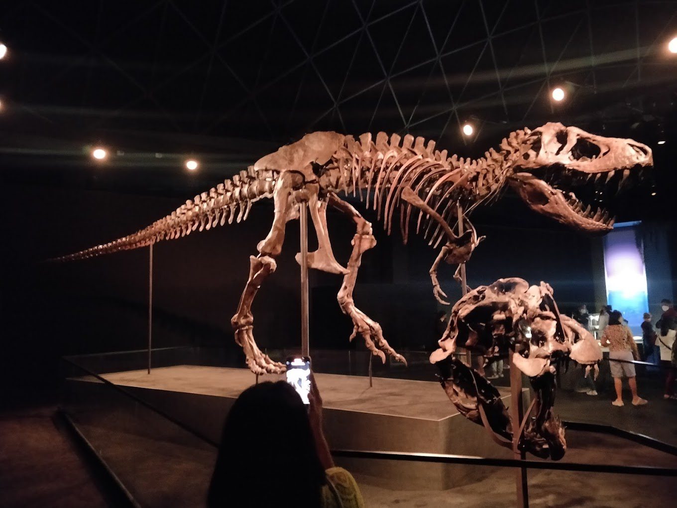 The Natural History Museum