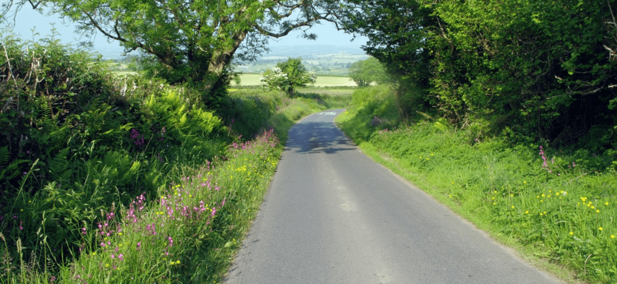 Summer in UK: A Complete Guide to an Unforgettable Experience