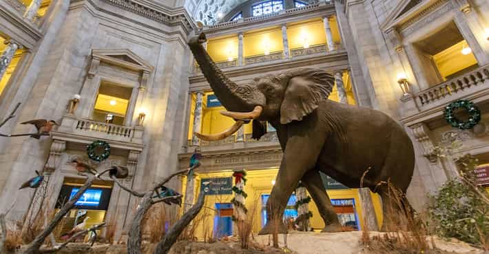 Top Museums in USA: Explore Culture, Art & History