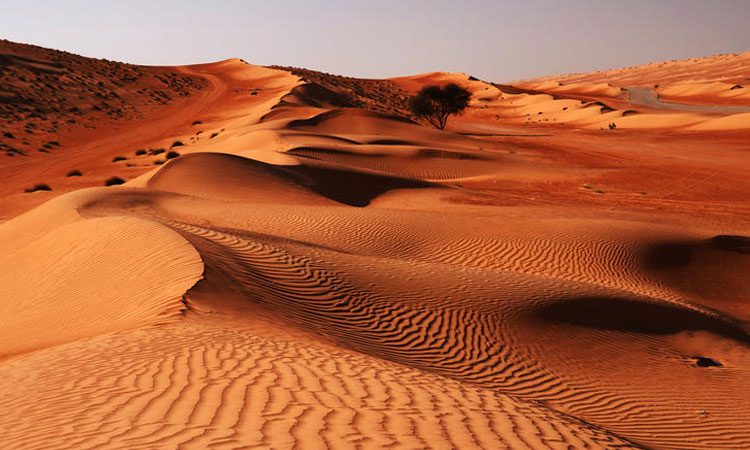 Wahiba Sands, Oman