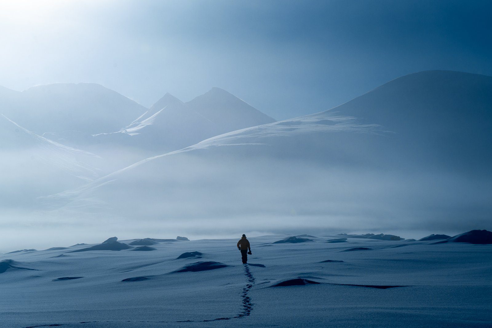 Winter photography tours in Sweden