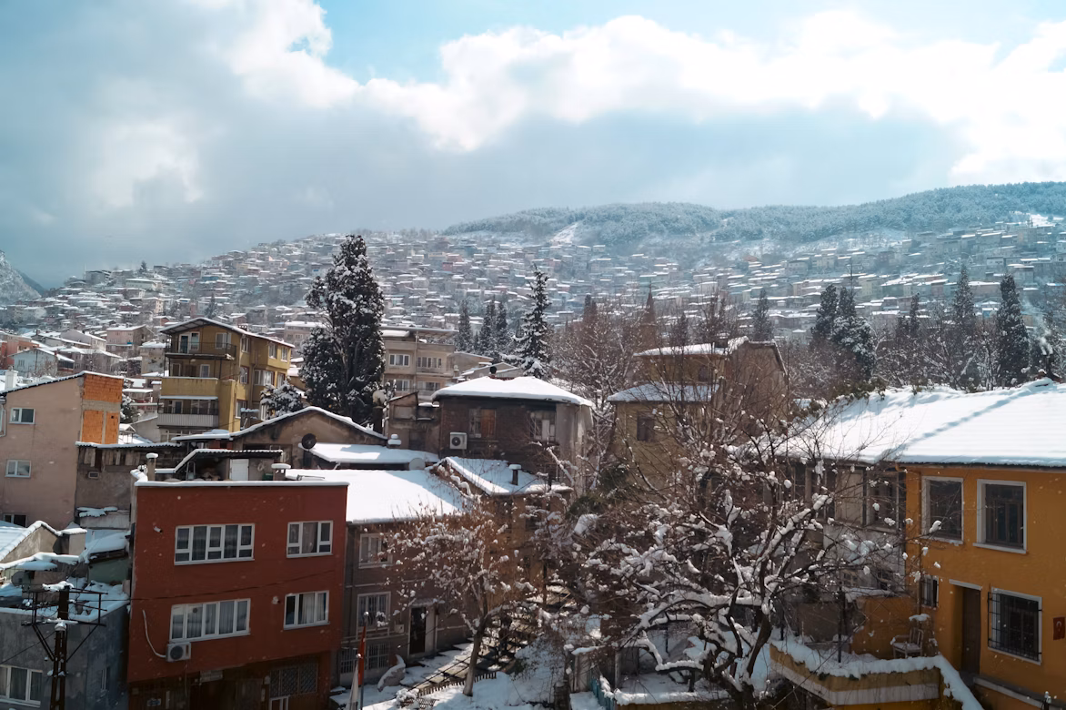 Turkey during winter